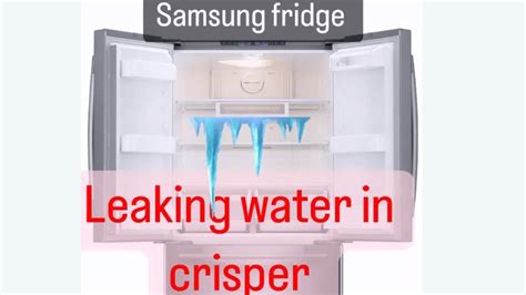 samsung fridge leaking water inside|4 Reasons Why Your Samsung Refrigerator is。